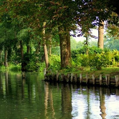 华体育下载手机版