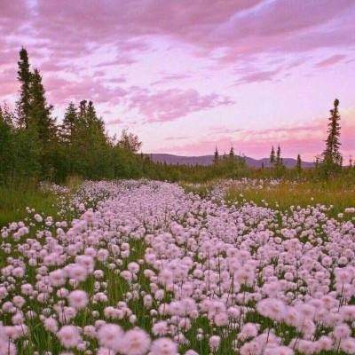 华体育会app官方下载