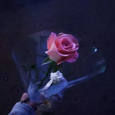 百姓彩票Welcome下载手机版